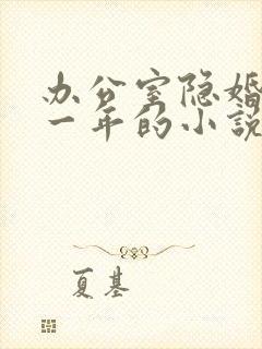 办公室隐婚是哪一年的小说