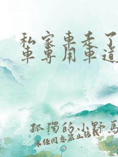 私家车走了公交车专用车道会扣分吗