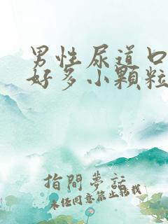男性尿道口起了好多小颗粒