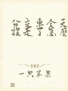 公交车全天限行误走了怎么办