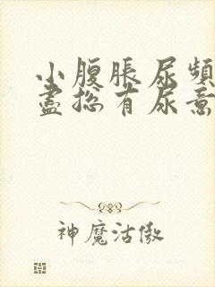 小腹胀尿频尿不尽总有尿意