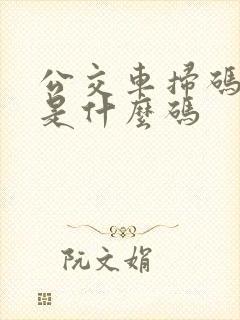公交车扫码扫的是什么码