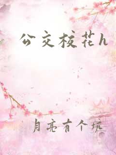 公交校花h