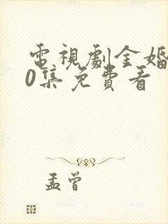 电视剧金婚第50集免费看