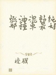 燃油混动纯电买哪种车最好