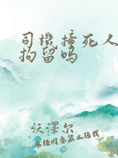 司机撞死人会被拘留吗