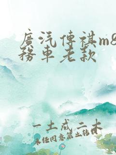 广汽传祺m8商务车老款