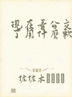 现在看公交到哪了用什么软件