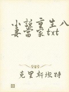 小说重生八零辣妻当家txt