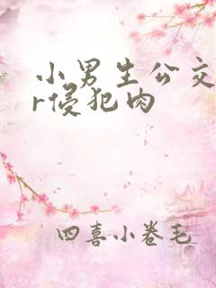 小男生公交车hr侵犯肉