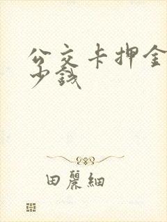 公交卡押金是多少钱