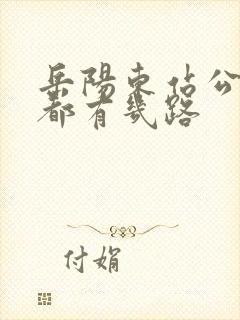 岳阳东站公交车都有几路