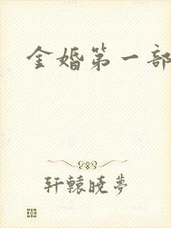 金婚第一部全集