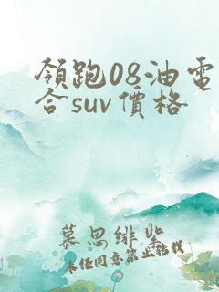 领跑08油电混合suv价格