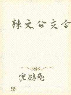 辣文公交合集
