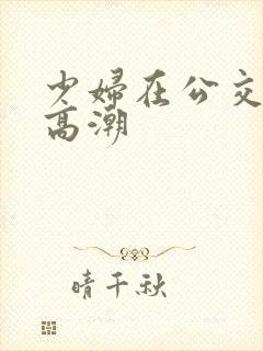 少妇在公交车上高潮