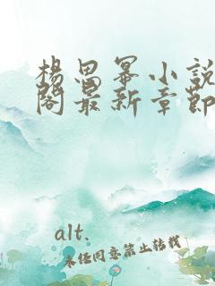 杨思幂小说笔趣阁最新章节