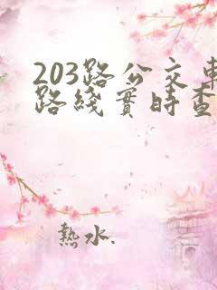 203路公交车路线实时查询