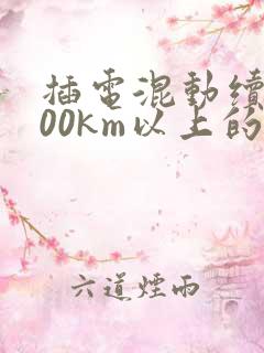 插电混动续航200km以上的suv