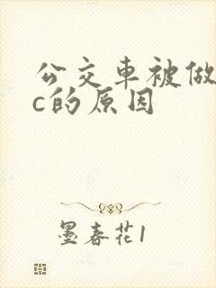 公交车被做到高c的原因