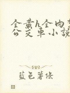 全黄h全肉禁乱公交车小说