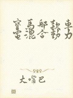 宝马哪款车是油电混合动力