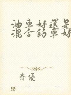 油车好还是油电混合的车好