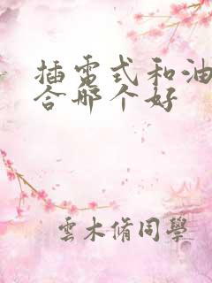插电式和油电混合哪个好