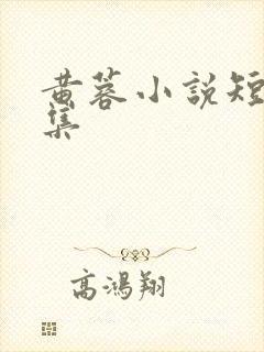 黄蓉小说短篇合集