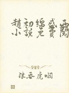 赵初绵盛西舫的小说免费阅读