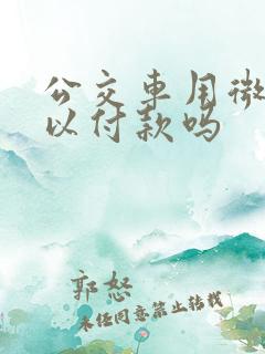 公交车用微信可以付款吗