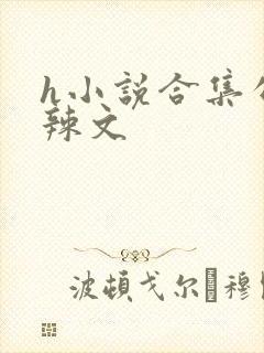 h小说合集公交辣文