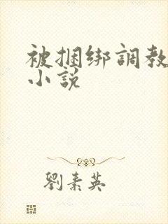 被捆绑调教高潮小说