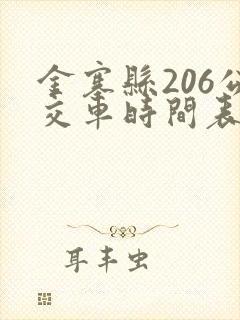 金寨县206公交车时间表