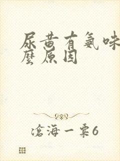 尿黄有氨味是什么原因