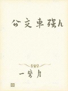 公交车强h