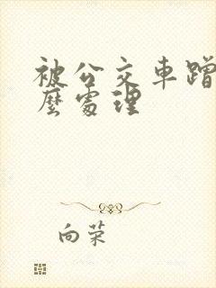 被公交车蹭了怎么处理