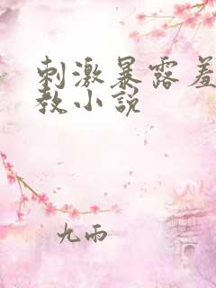 刺激暴露羞耻调教小说