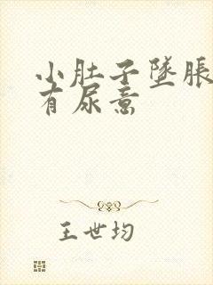 小肚子坠胀感觉有尿意