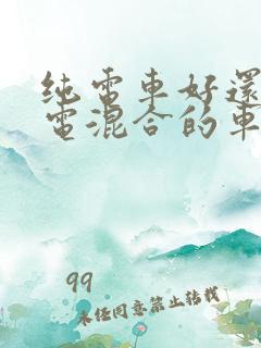 纯电车好还是油电混合的车好