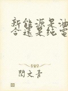 新能源是油电混合还是纯电
