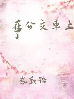在公交车上给操了