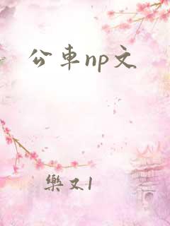 公车np文