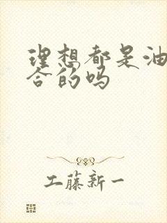 理想都是油电混合的吗