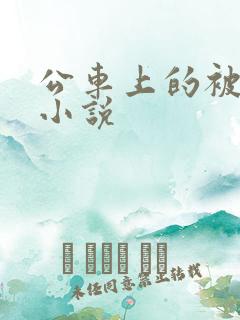 公车上的被调教小说
