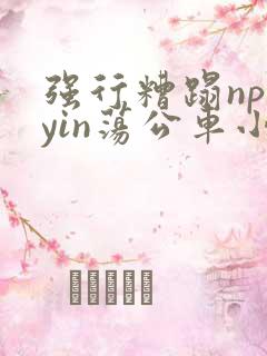 强行糟蹋np肉yin荡公车小说