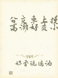 公交车上摸到我高潮好爽小说