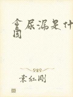 会尿漏是什么原因