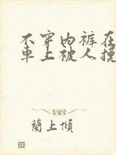 不穿内裤在公交车上被人摸小说