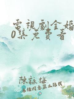 电视剧金婚第50集免费看